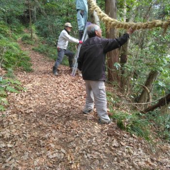 願掛け綱令和8年